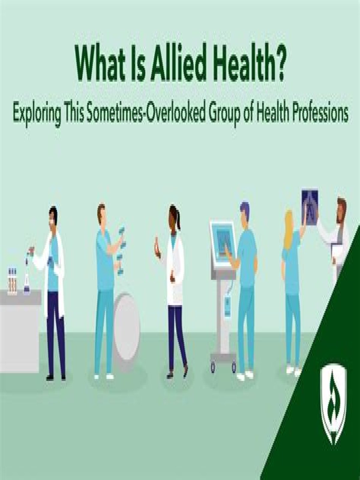 What is an allied health program?