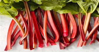 What is the flavor of rhubarb?