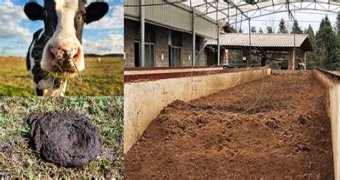 What is the NPK of composted cow manure?